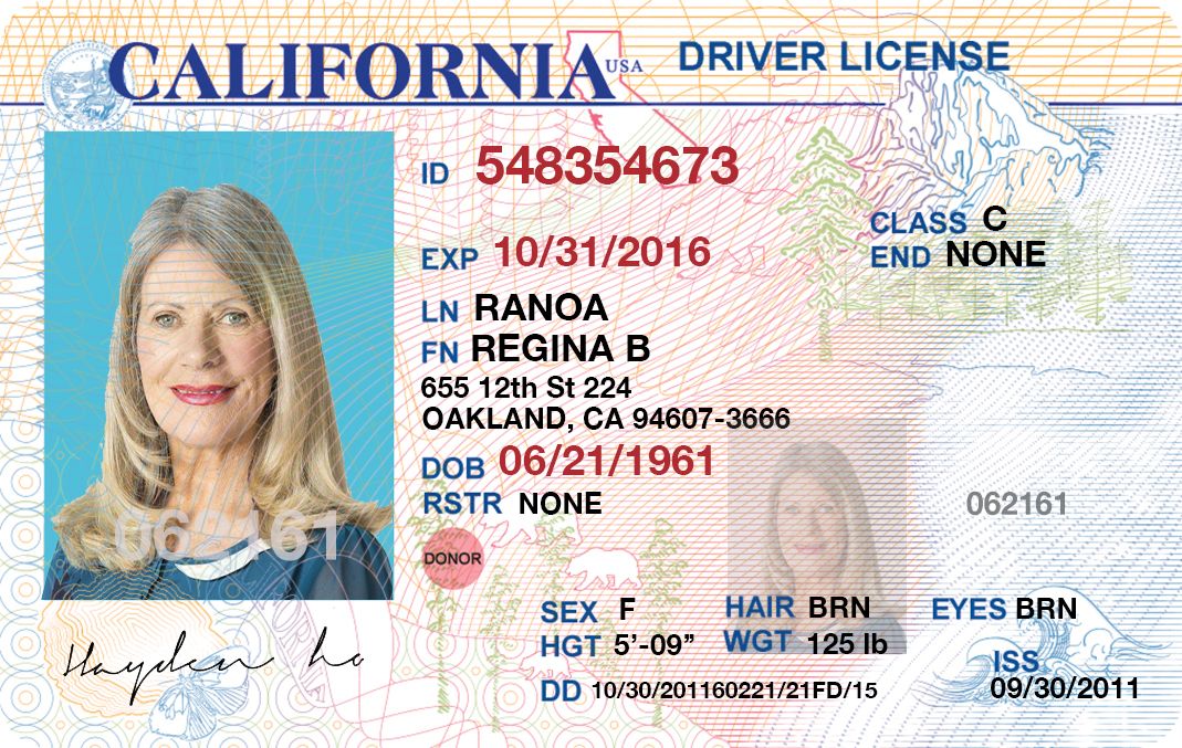 Fake Drivers License Maker Software